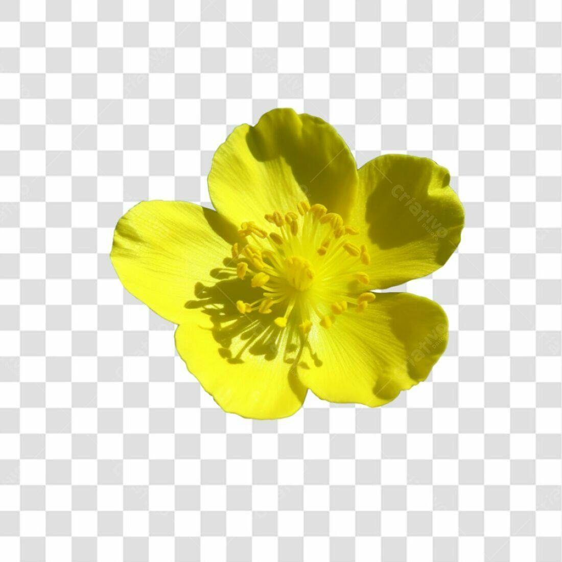 Icone Flor Amarela PNG com fundo transparente