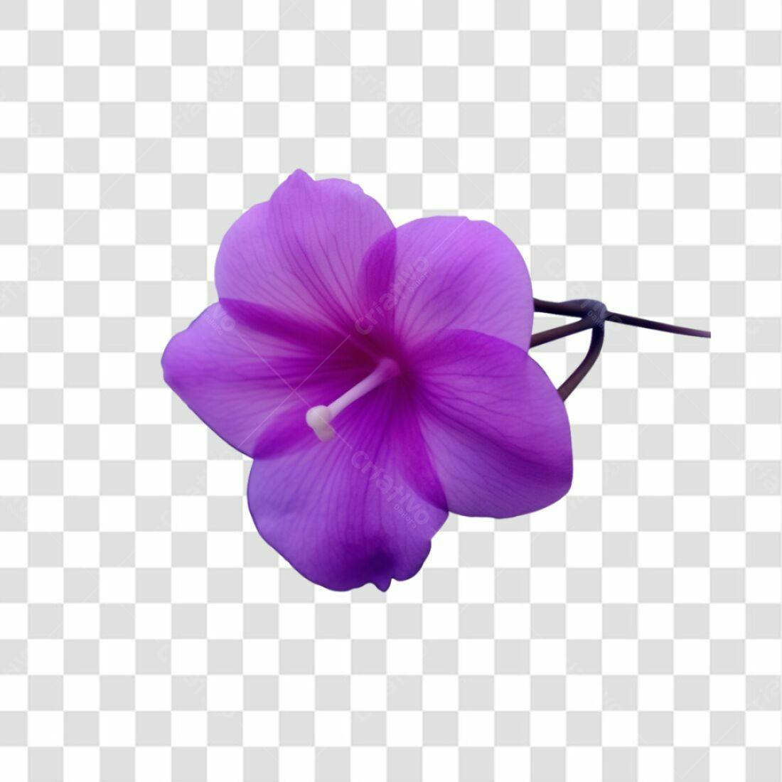 Icone Flor Roxa PNG com fundo transparente