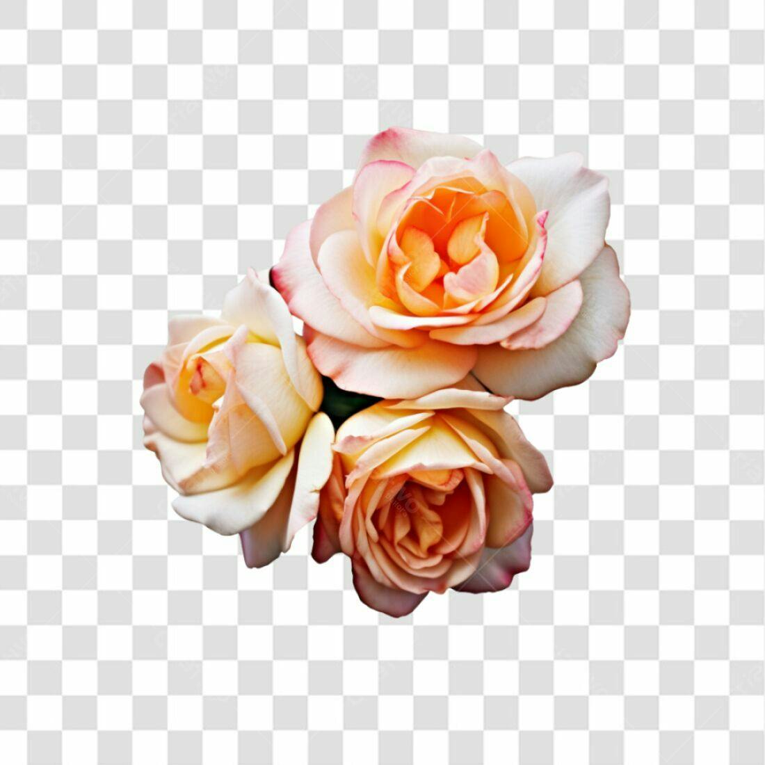 Icone Rosas Dia das Mães PNG com fundo transparente