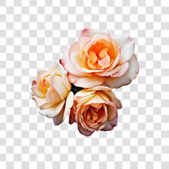 Flor imagem grátis para download fundo transparente png