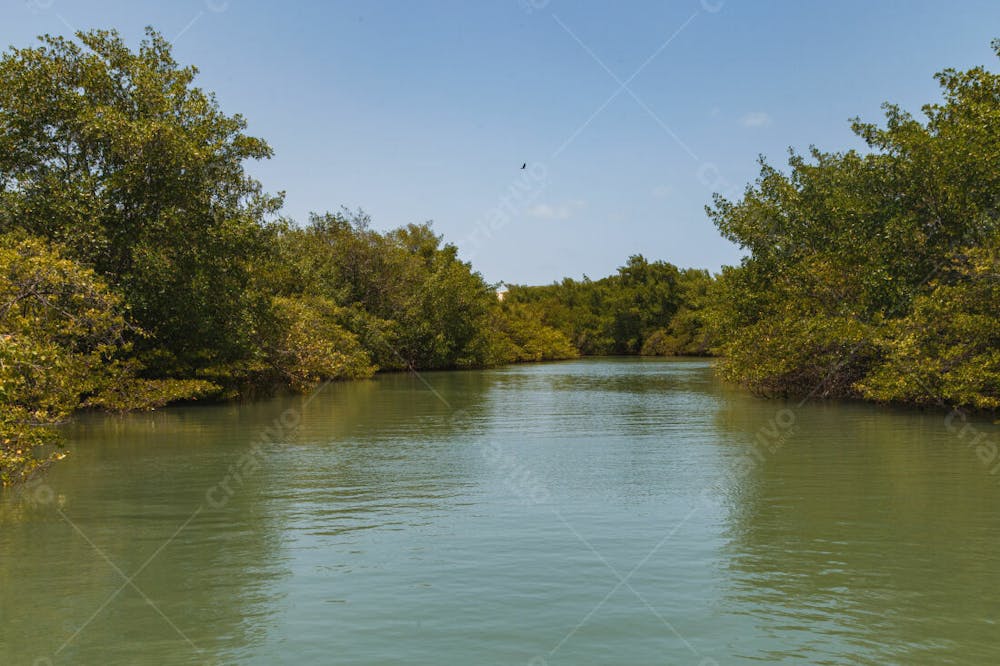 Paisagem De Rio Passeio A Barco