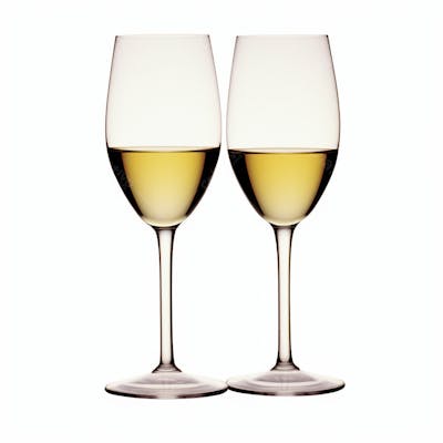 Taça De Vinho Em Fundo Branco Bebidas  (17)