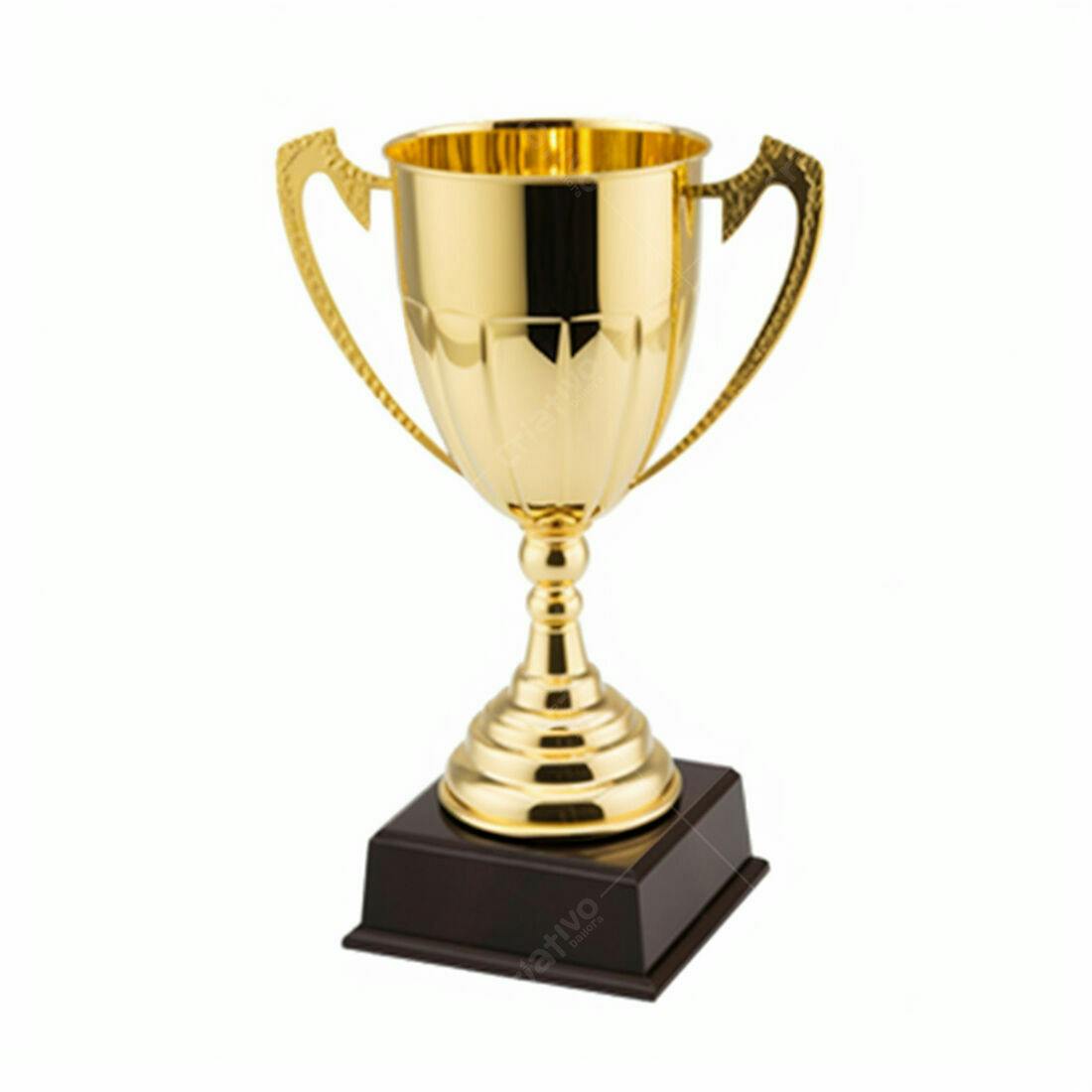 Troféu dourado com base escura