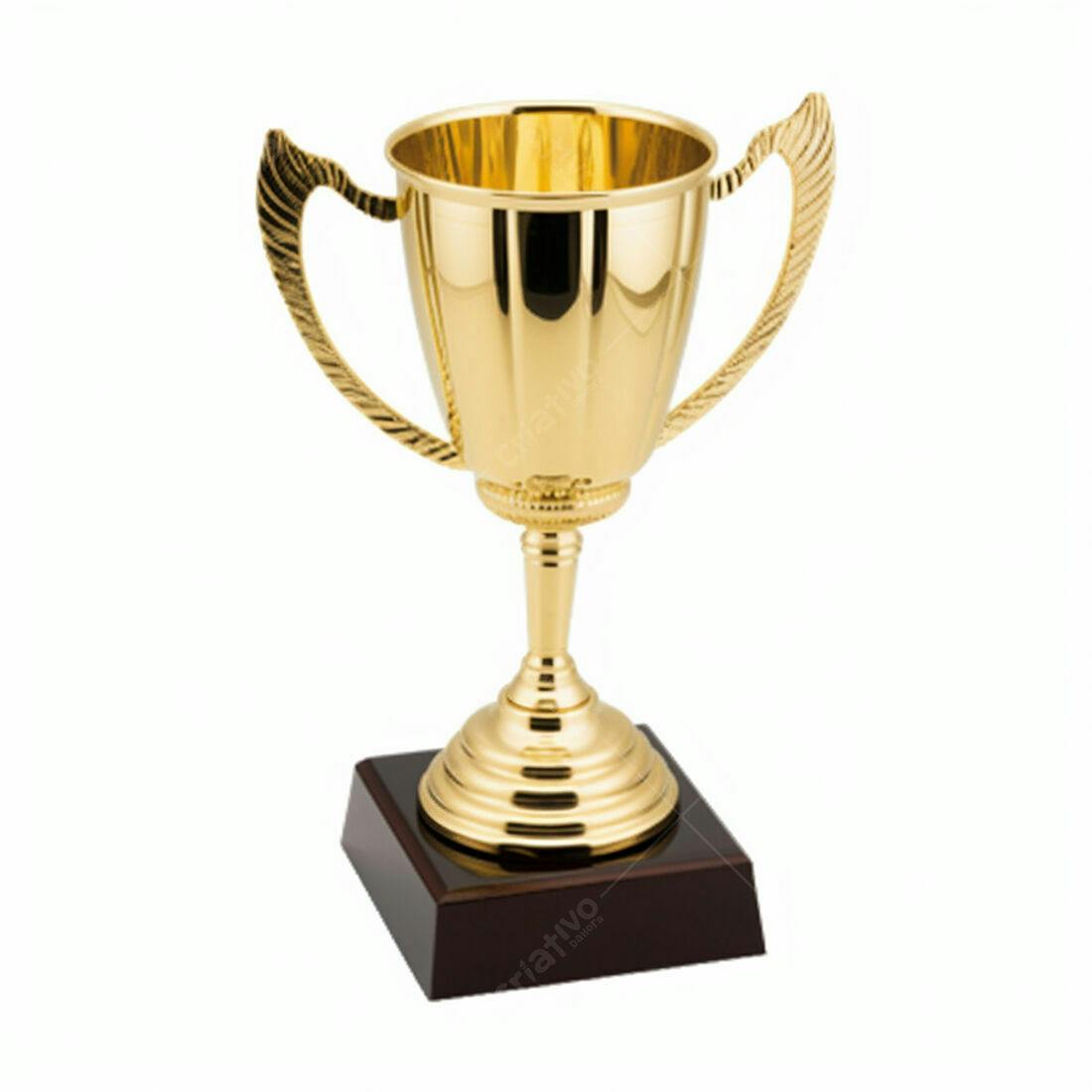 Troféu dourado com base escura