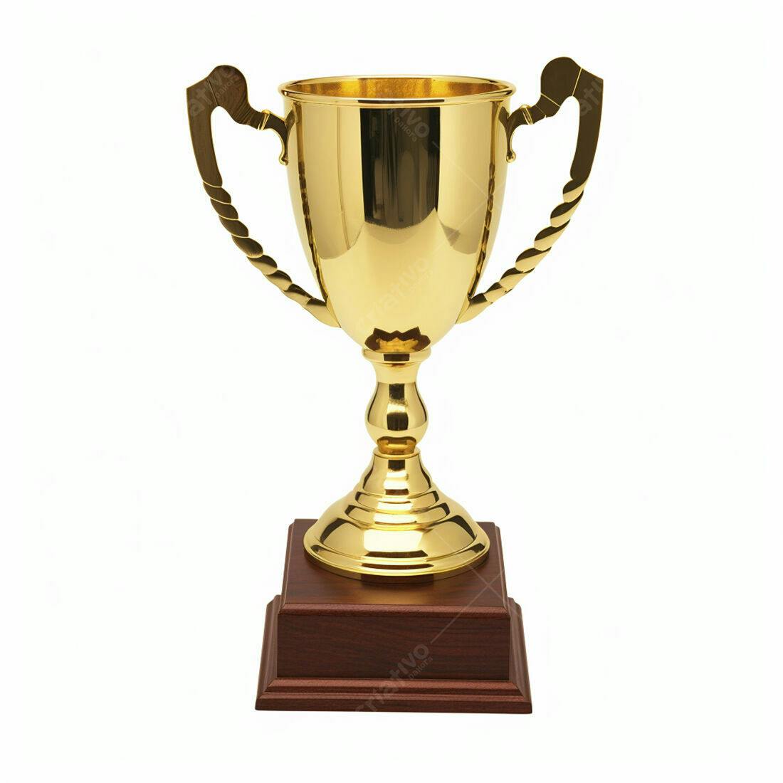 Troféu dourado em base de madeira