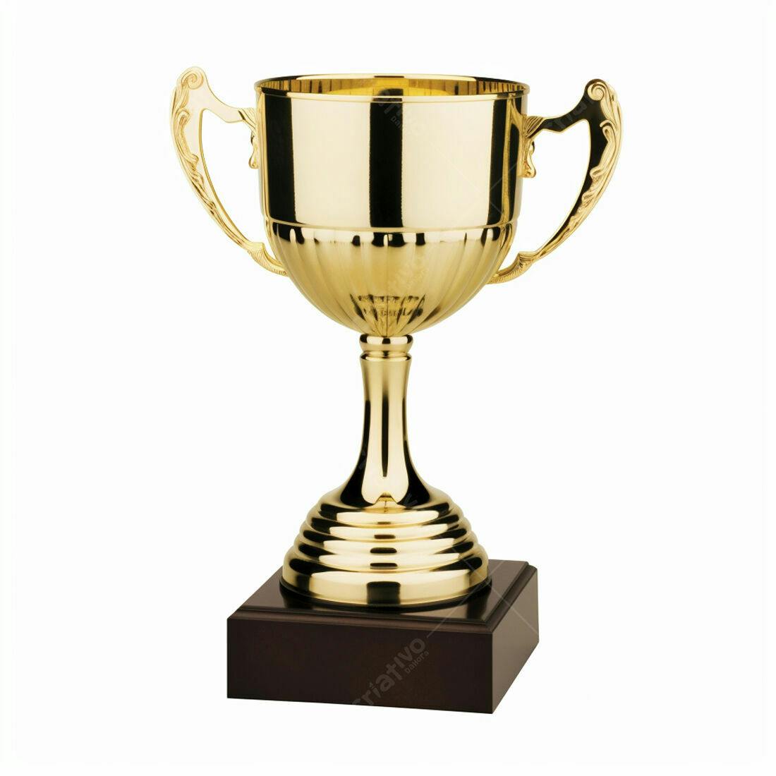 Troféu dourado com base escura
