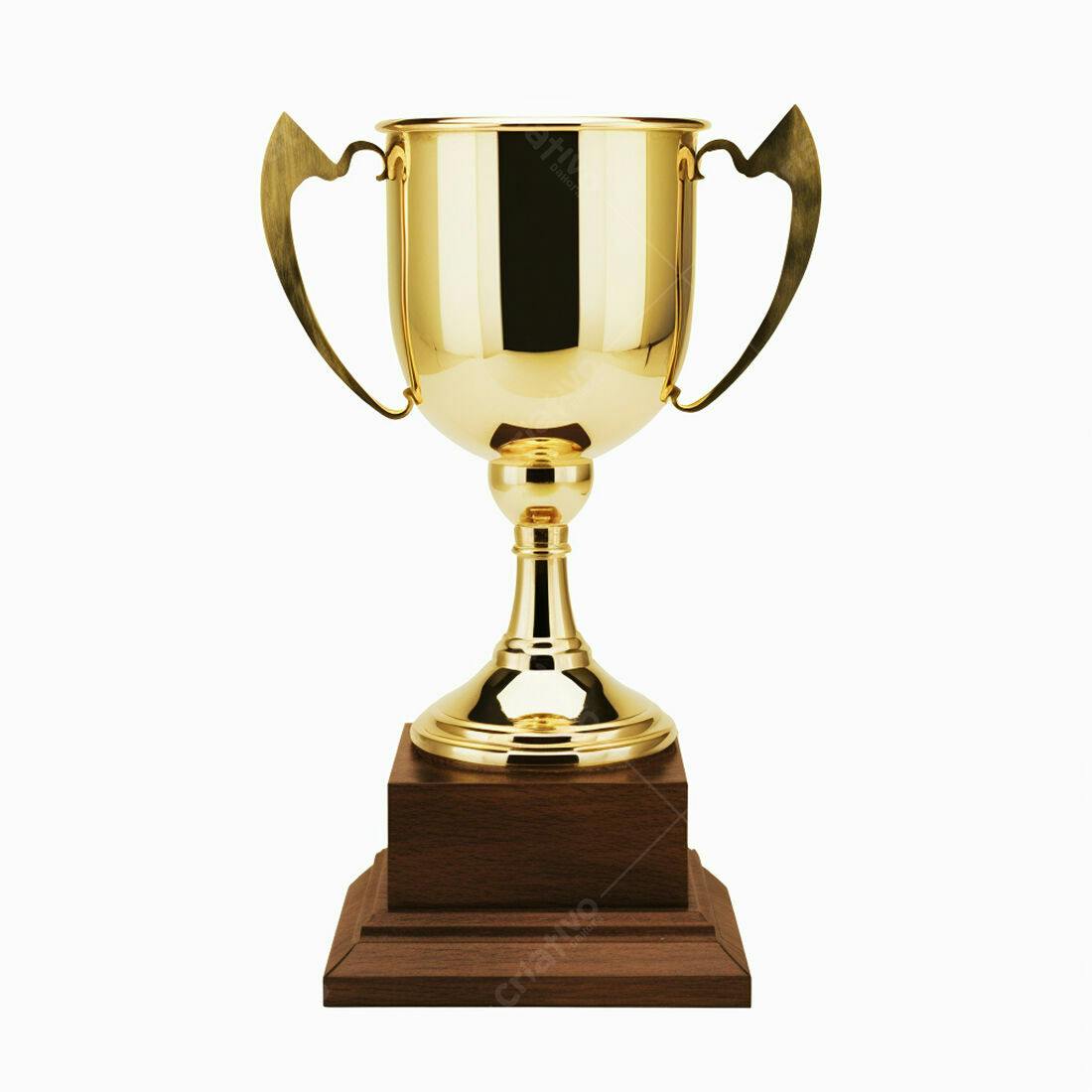Troféu dourado em base de madeira