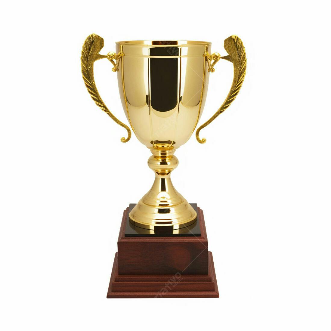 Troféu dourado em base de madeira