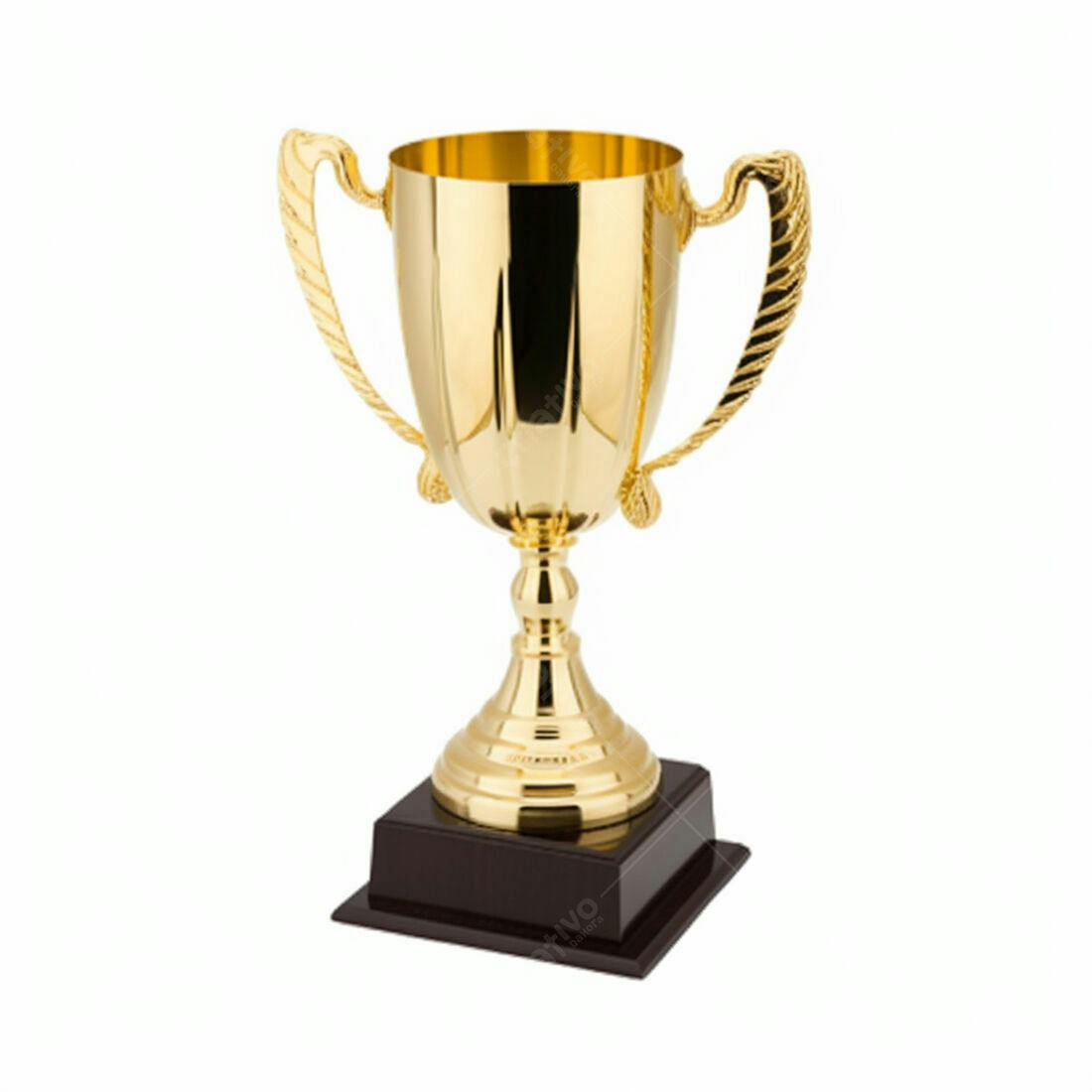 Troféu dourado com base preta