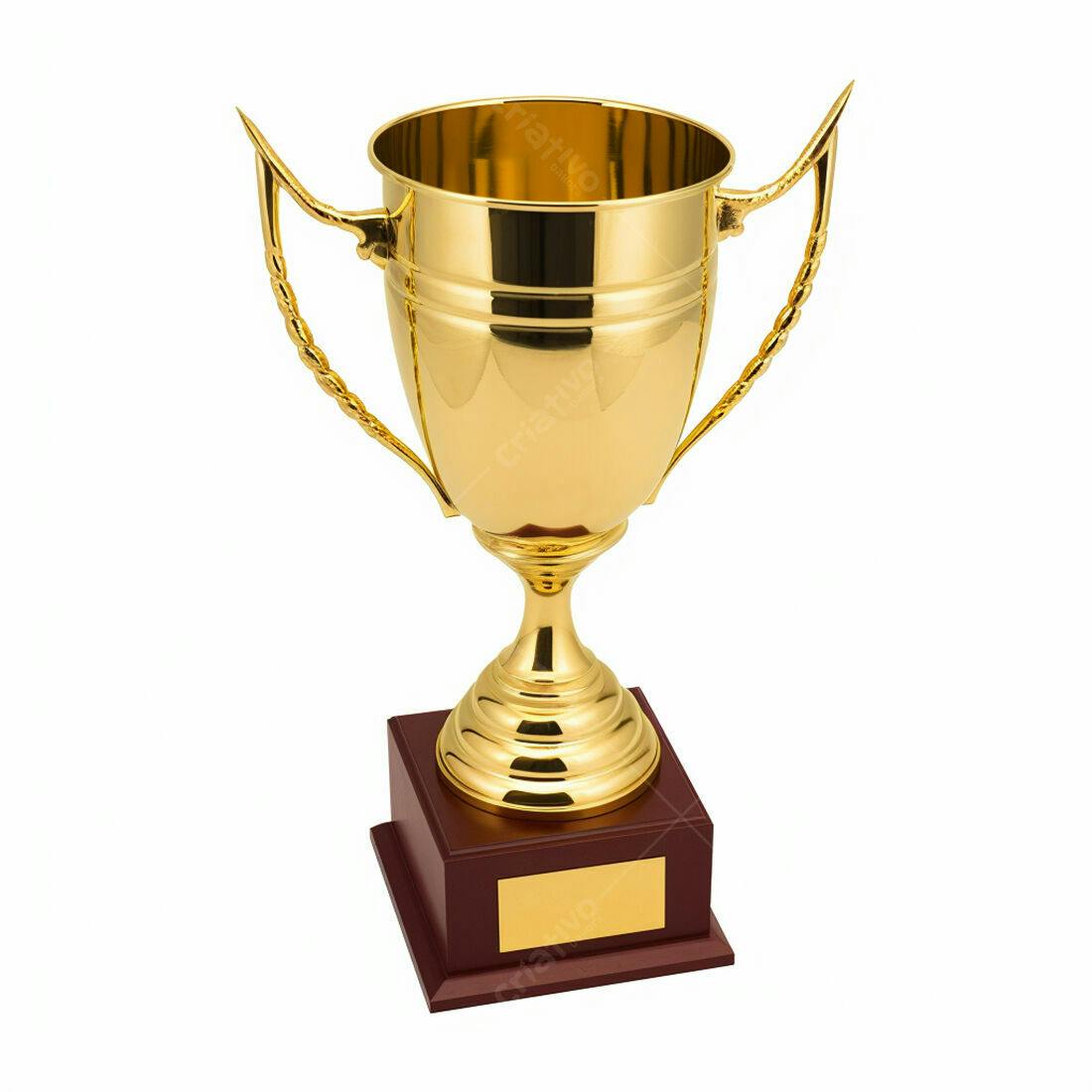 Troféu dourado com base marrom