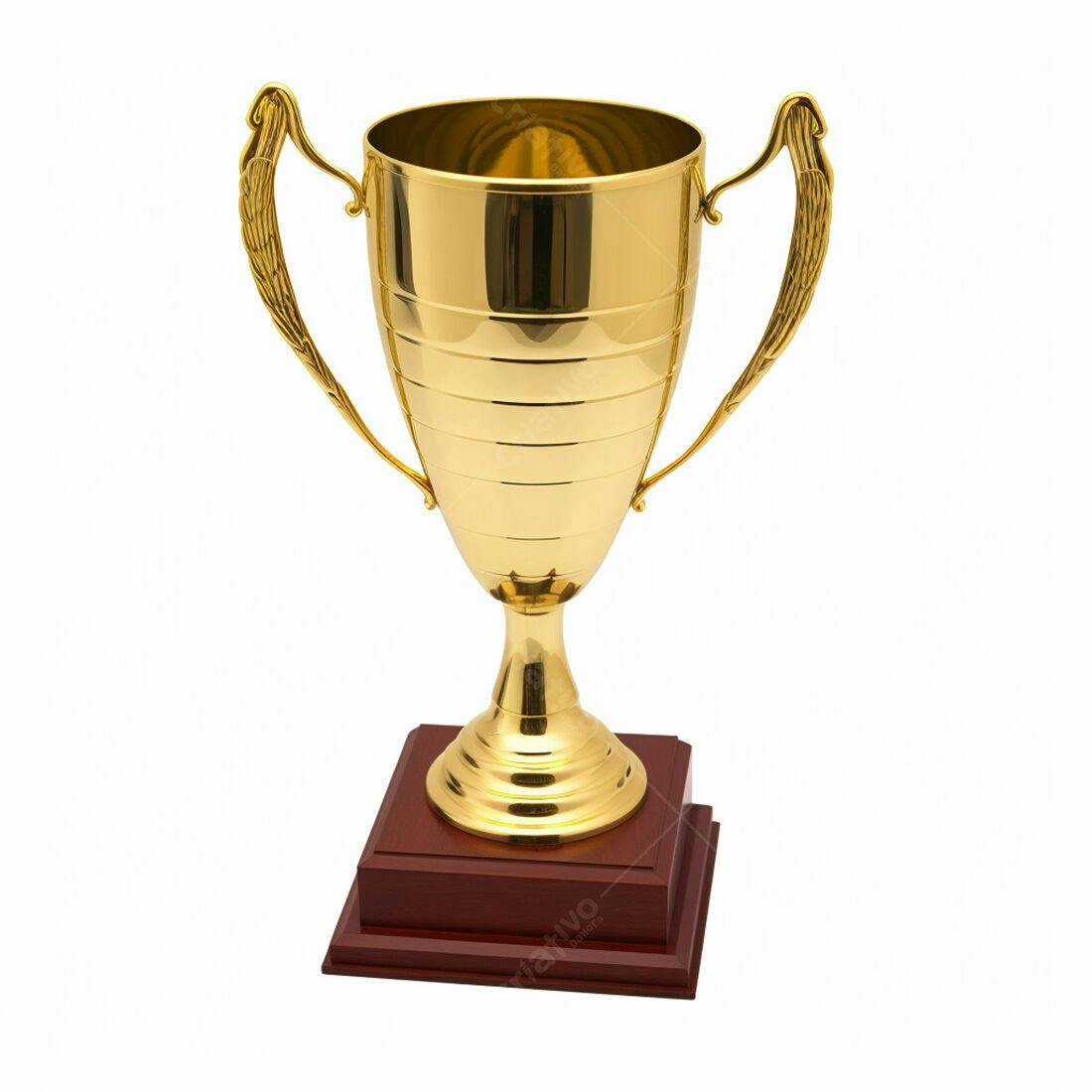 Troféu dourado em base de madeira