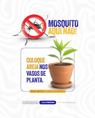 Social media dengue coloque areia nos vasos de planta