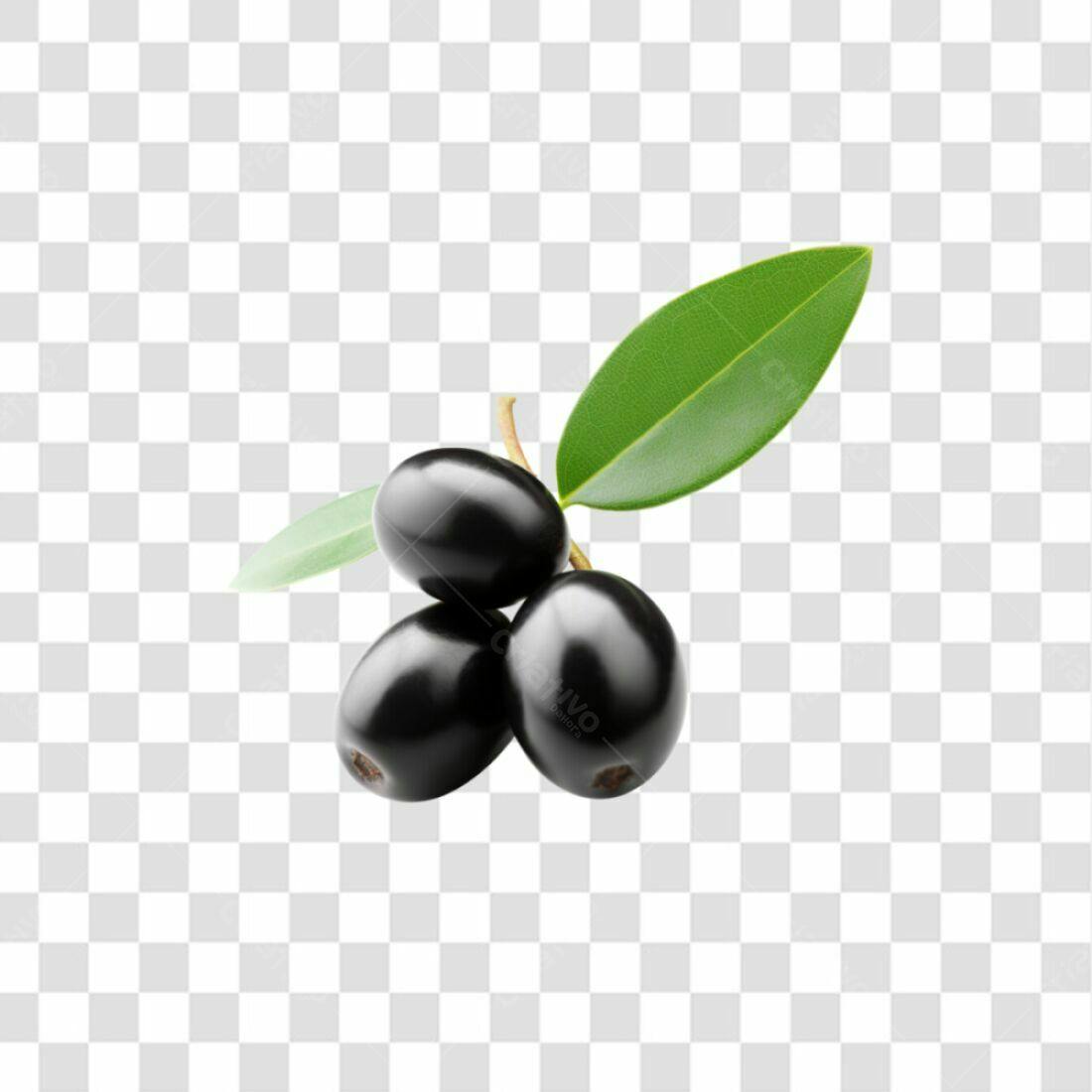 Icone Azeitonas Pretas PNG com fundo transparente