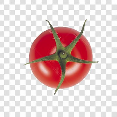 Baixe De Graça Tomate Png Transparente (6)