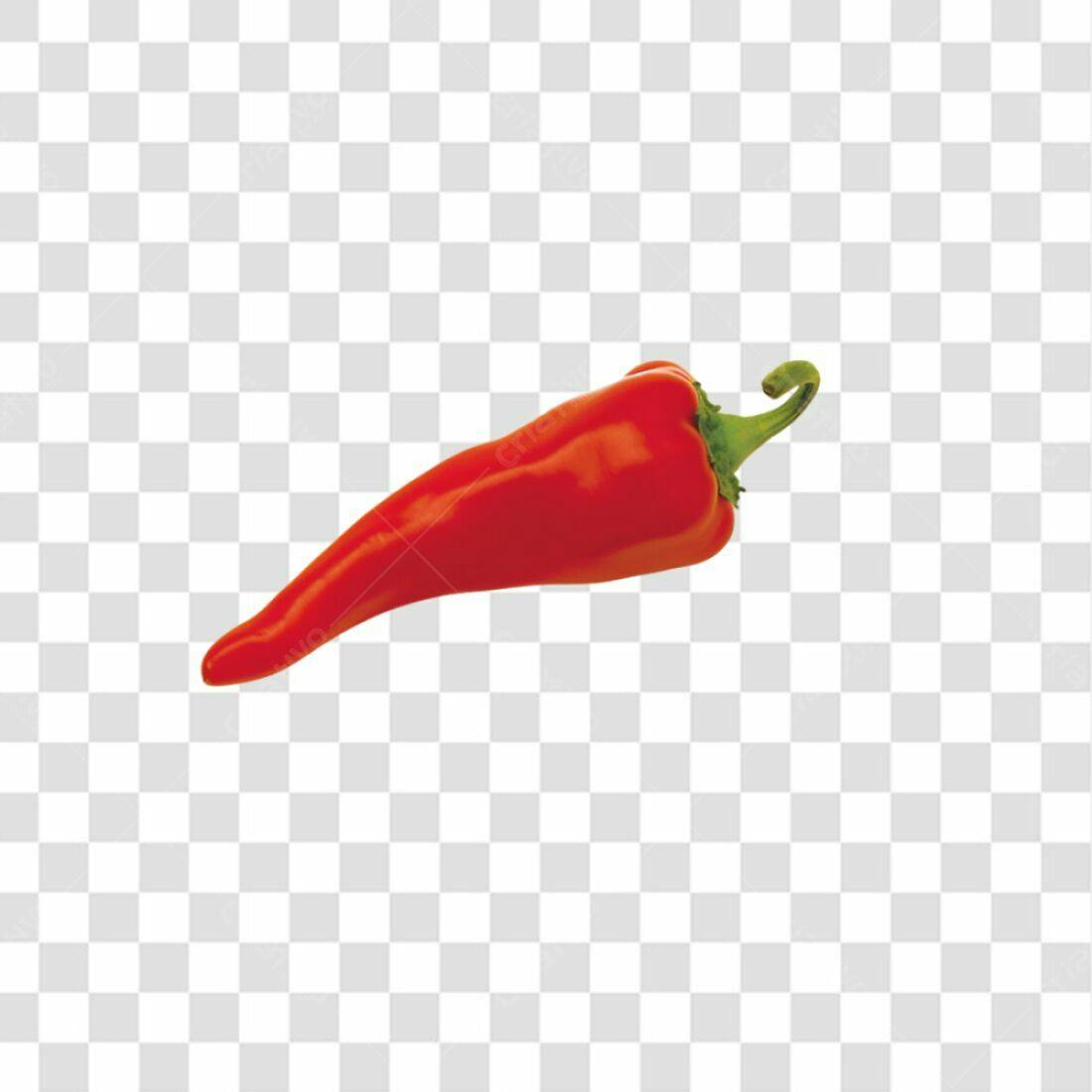 Icone Pimenta Vermelha PNG com fundo transparente