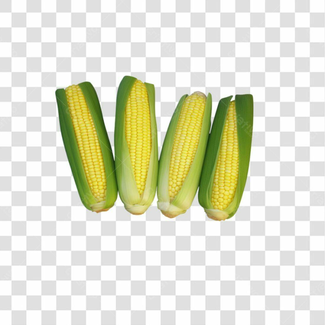 Icone Milho PNG com fundo transparente