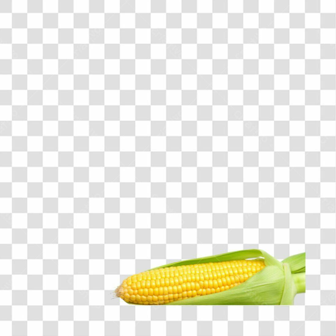 Icone Milho PNG com fundo transparente