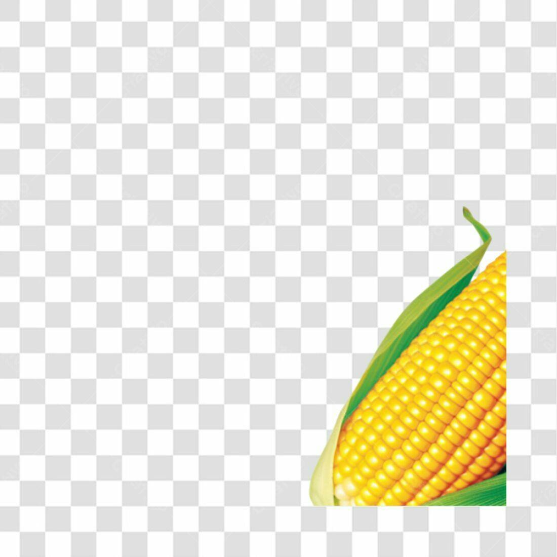 Icone de Milho PNG com fundo transparente