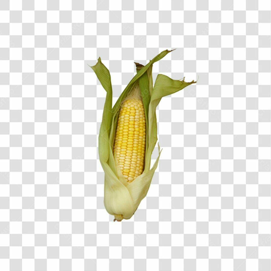 Icone Milho PNG com fundo transparente