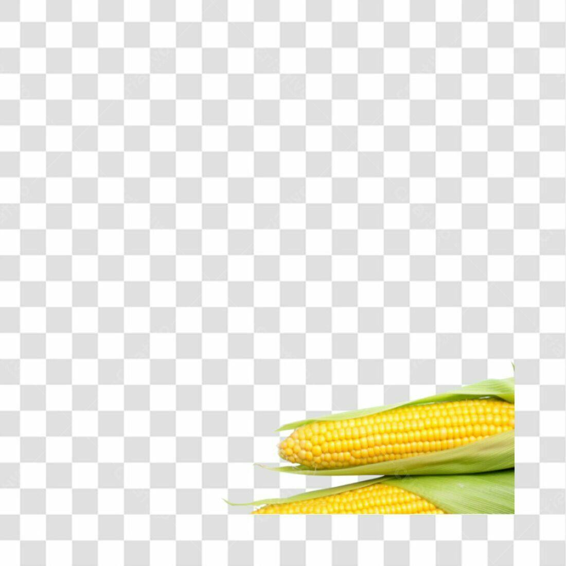 Icone Milho PNG com fundo transparente