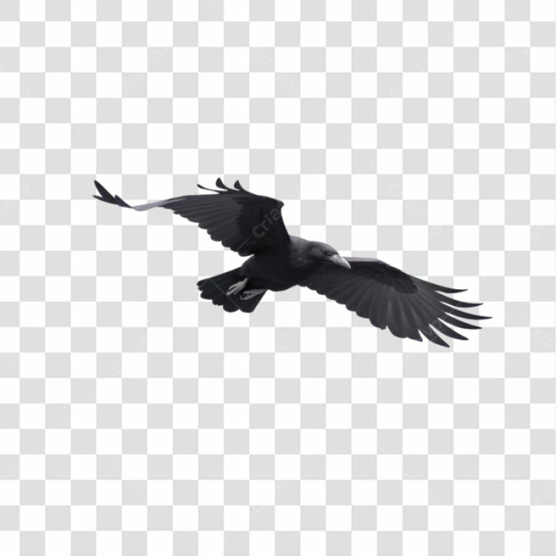 Icone Corvo em voo PNG com fundo transparente