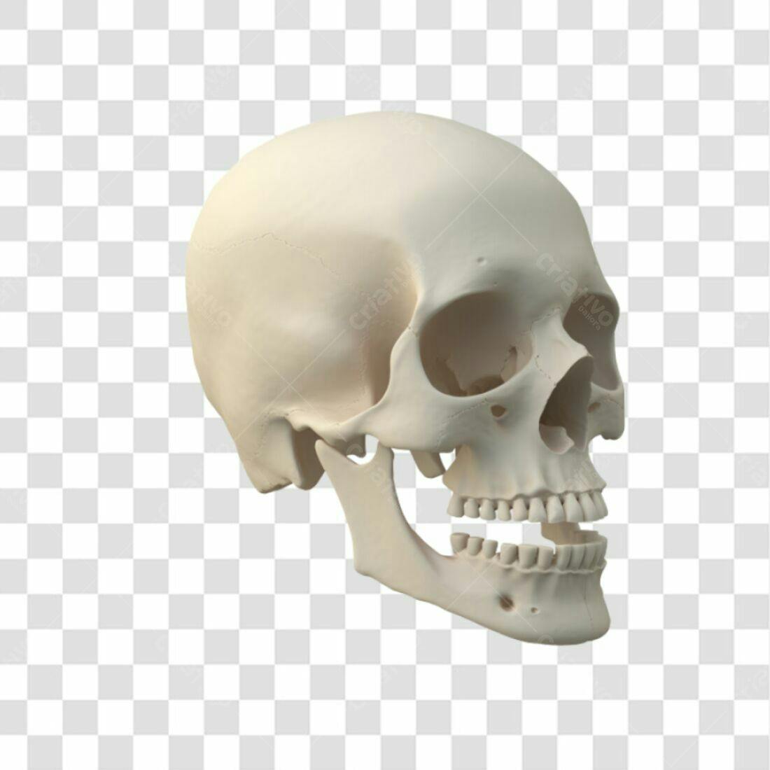 Icone Caveira PNG com fundo transparente