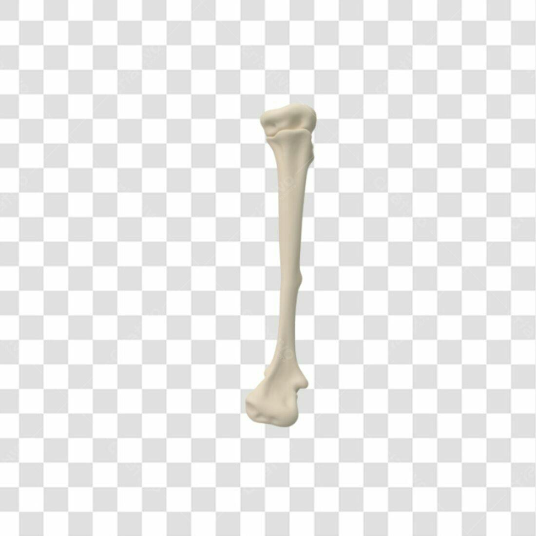 Icone Anatomia Osso PNG com fundo transparente