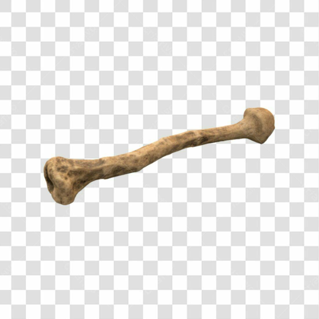 Icone Osso para Dia das Bruxas PNG com fundo transparente