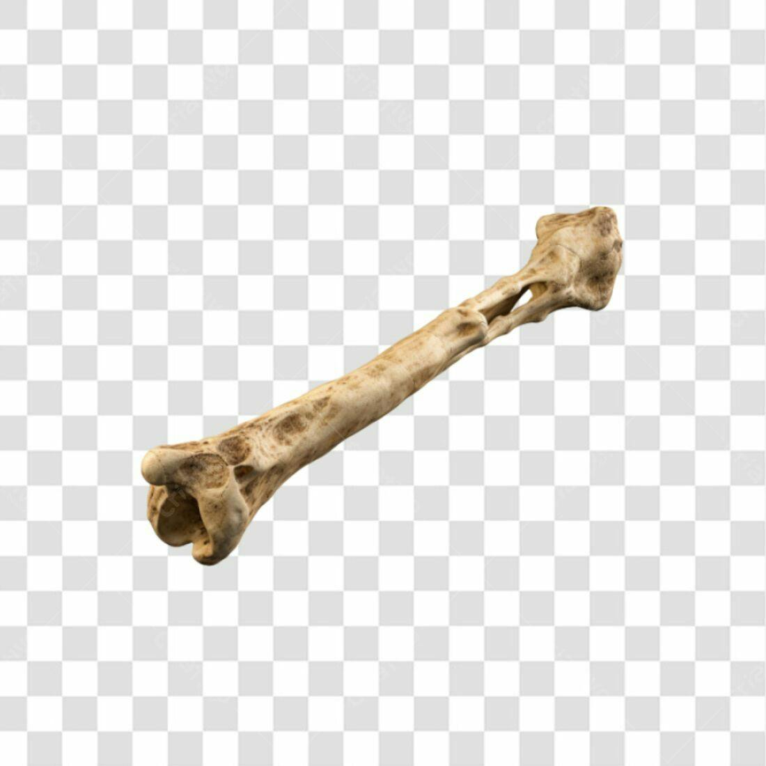 Icone Osso Humano PNG com fundo transparente