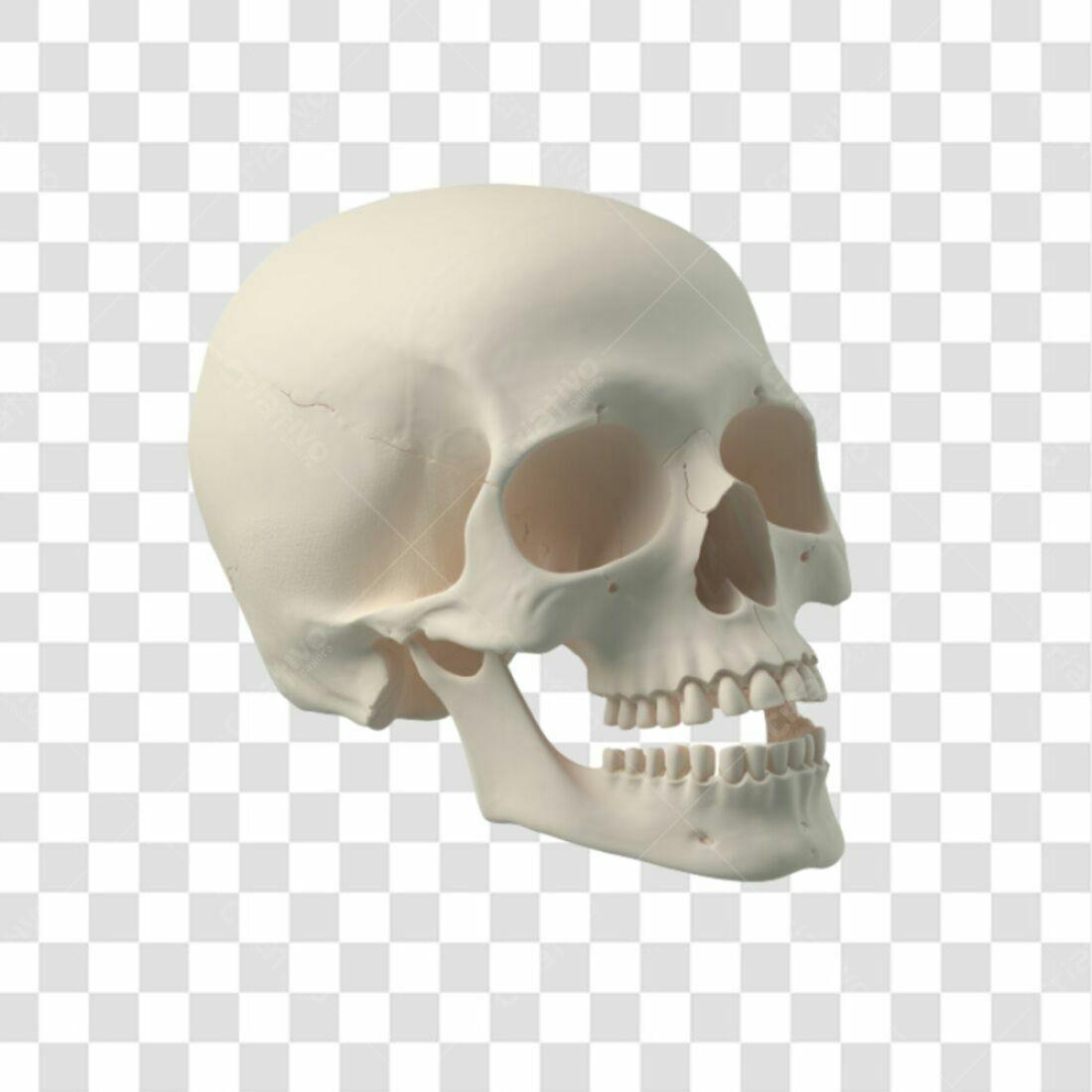 Icone Caveira PNG com fundo transparente