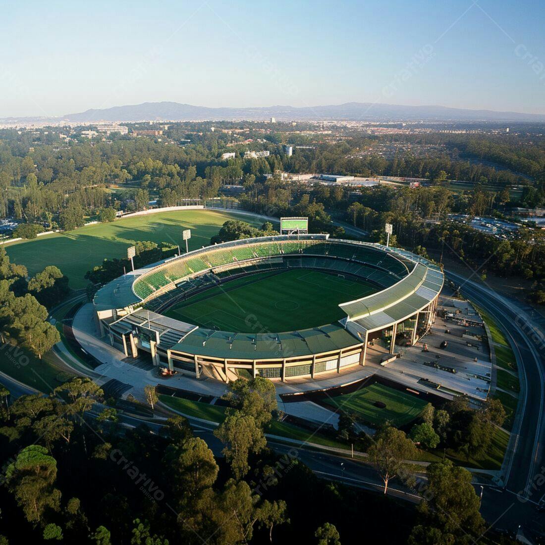 Estádio de futebol cercado por árvores vista aérea