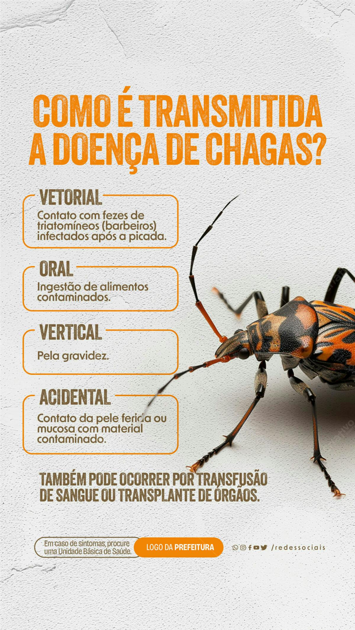 Infográfico Doença de Chagas PSD Editável