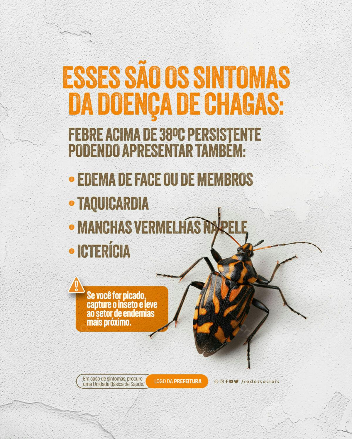 Infográfico Doença de Chagas PSD Editável