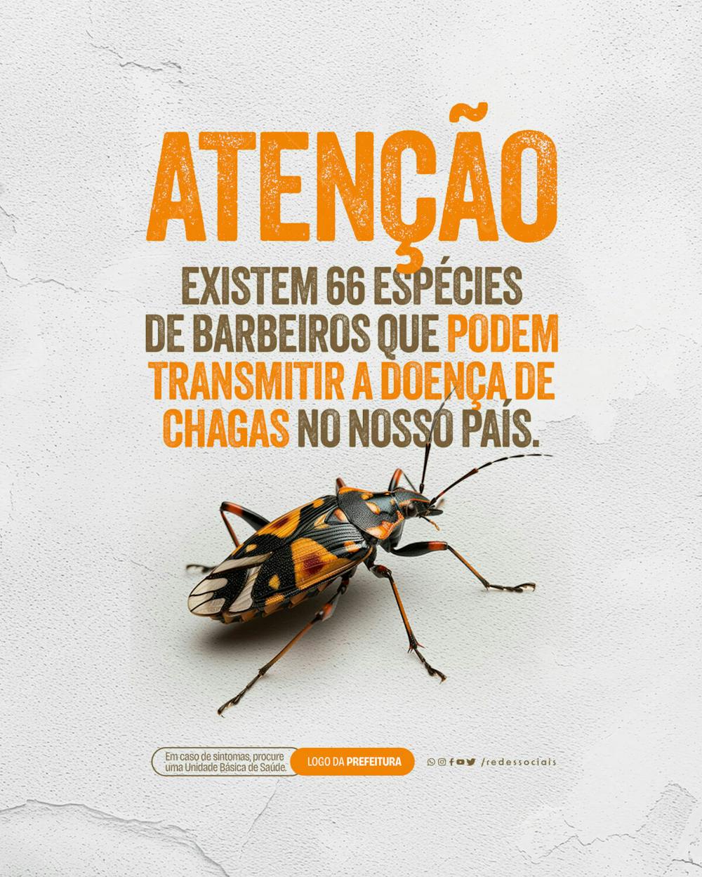 Social Media   Doença De Chagas   Existem 66 Espécies De Barbeiros