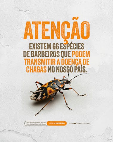 Social media doença de chagas existem 66 espécies de barbeiros