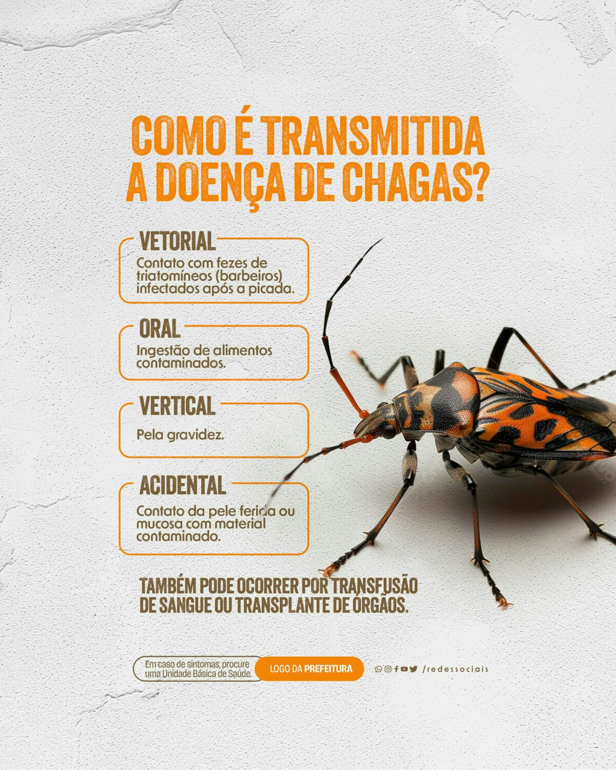 Infográfico Doença de Chagas PSD Editável