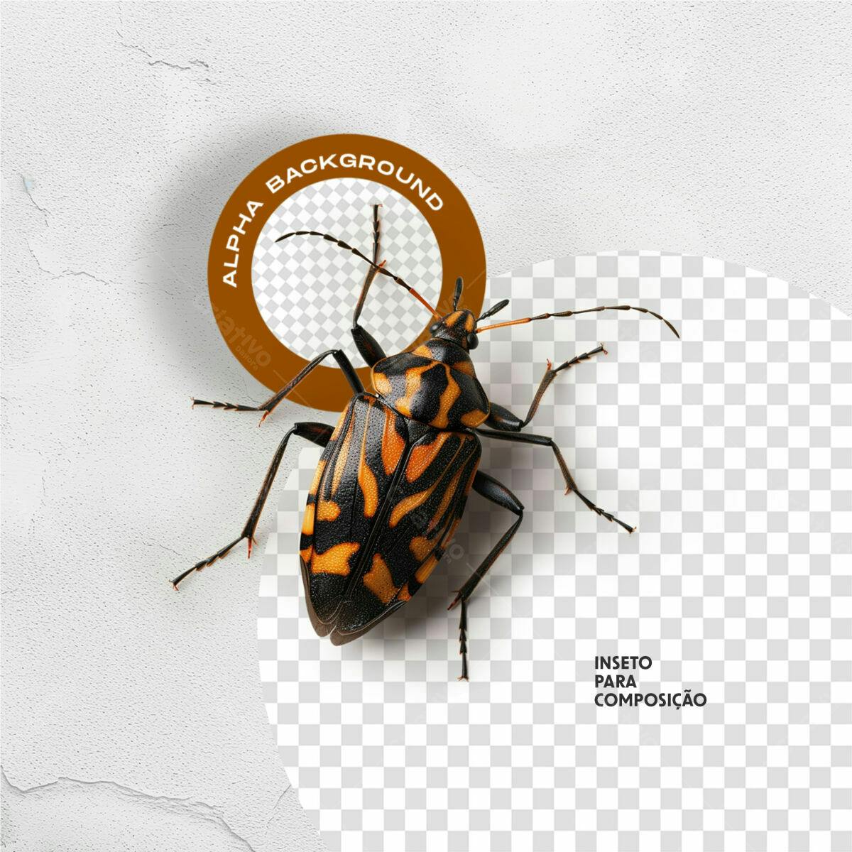 Background com Inseto Preto e Laranja PSD Editável
