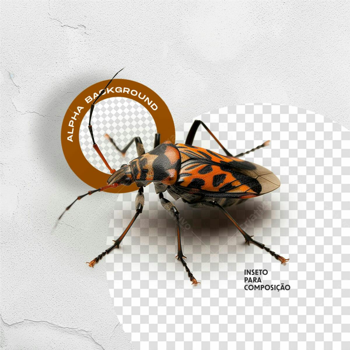 PSD Inset para Composição com fundo Alpha PSD Editável