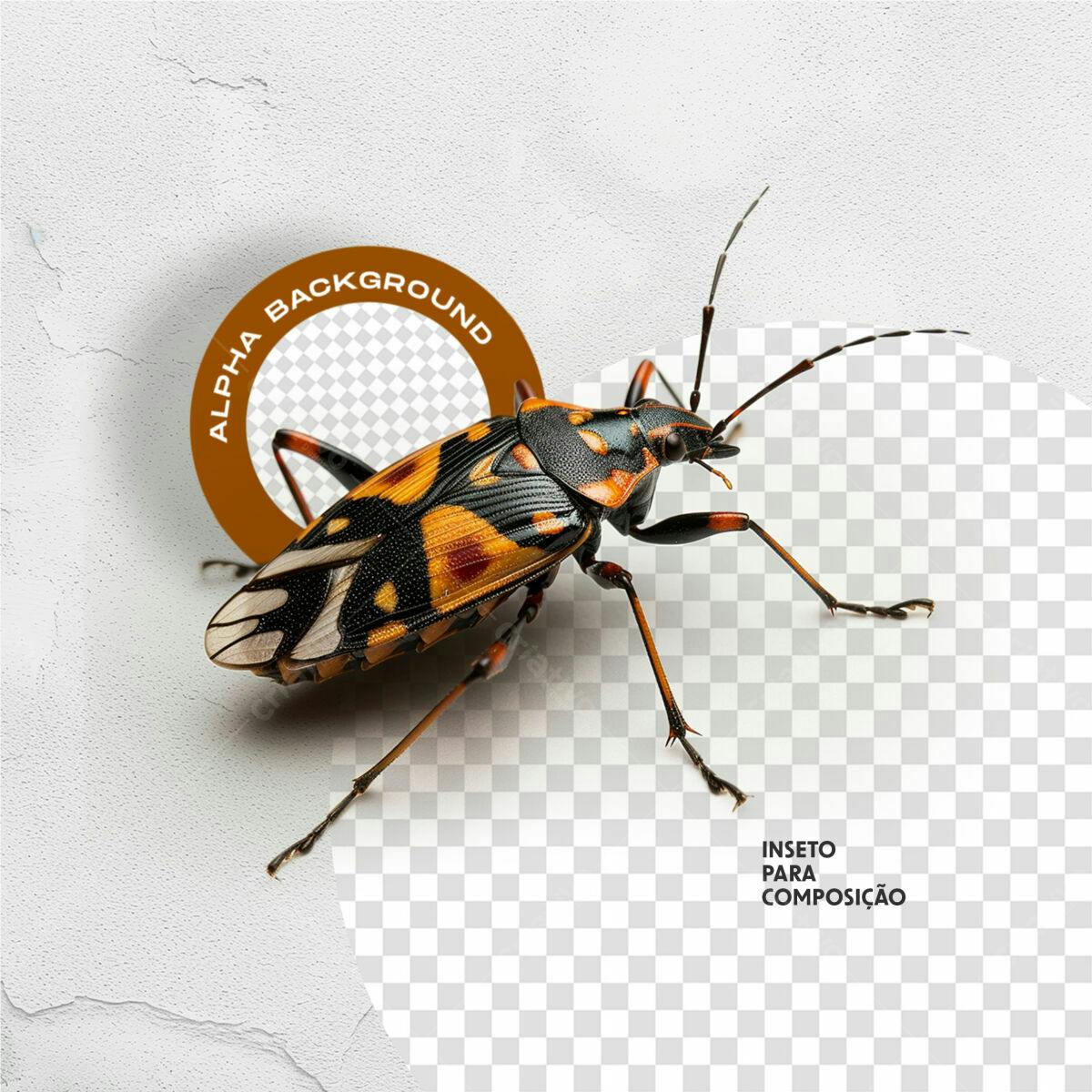 PSD Inset para Composição Gráfica Editável