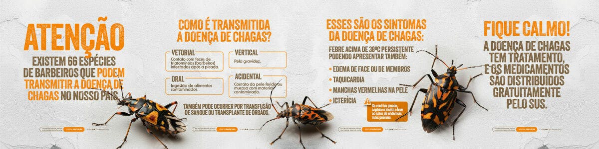 Infográfico Doença de Chagas PSD Editável