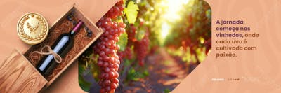 Carrossel   Vinho   A Jornada Começa Nos Vinhedos