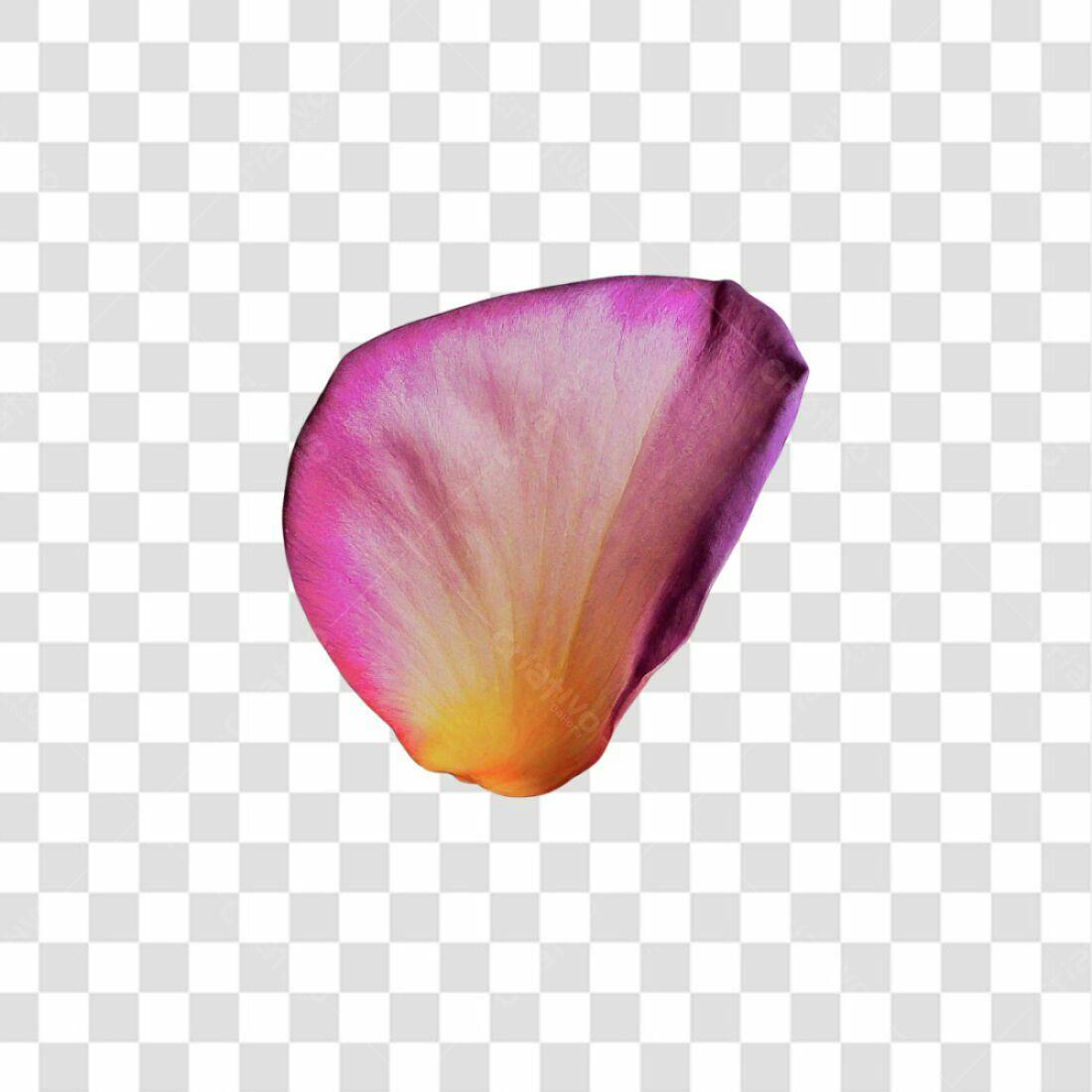 Icone pétala rosa e amarela PNG com fundo transparente