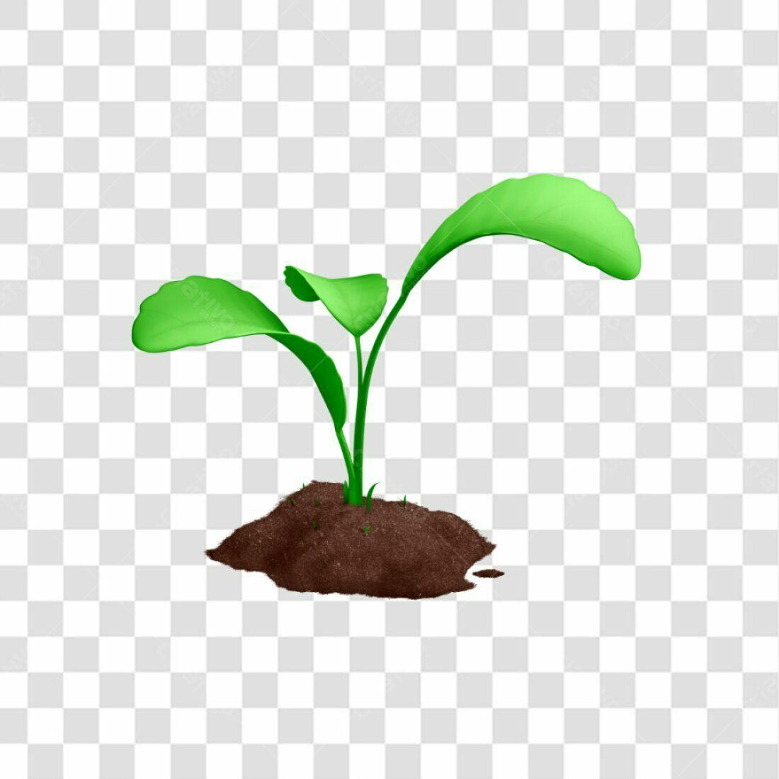 Icone Planta Crescendo PNG com fundo transparente