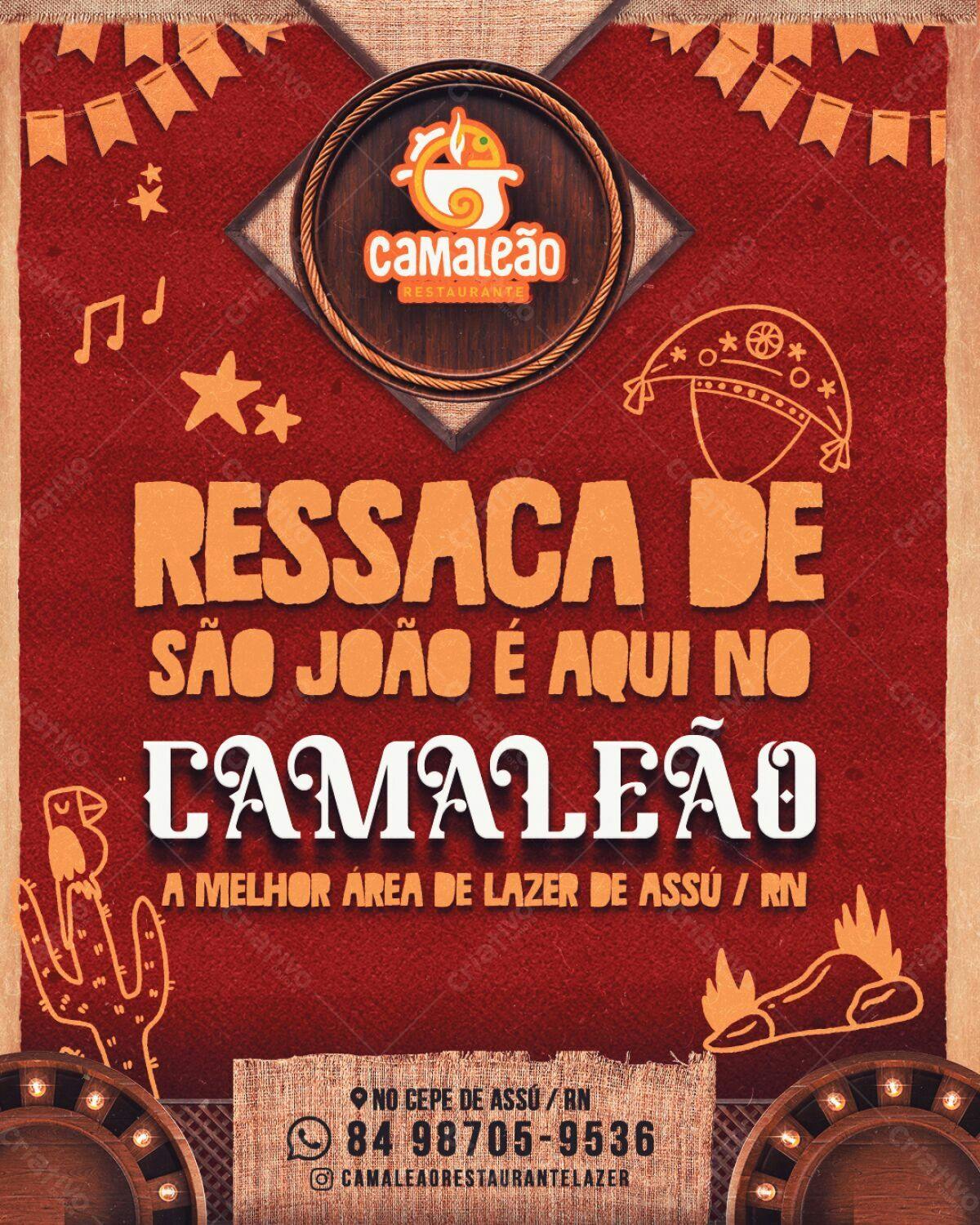 Flyer Festa Junina Camaleão Restaurante PSD Editável