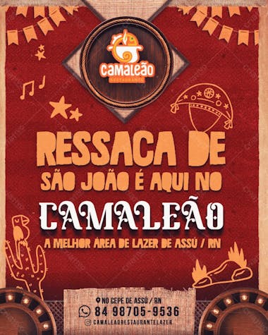 Ressaca de são joão camaleão