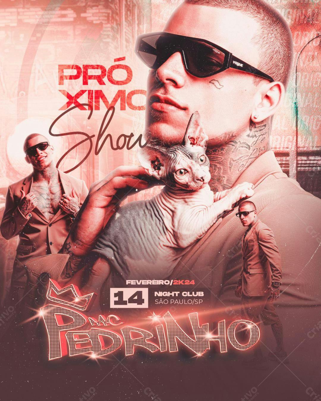 Flyer para Show Mc Pedrinho PSD Editável