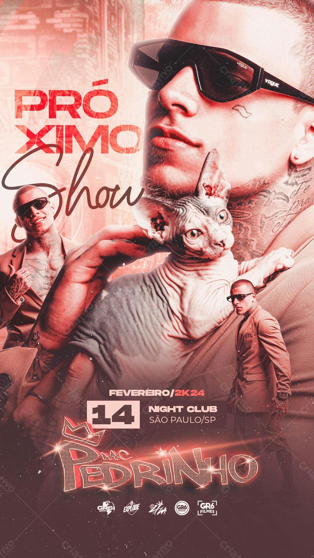 Flyer para Show do Mc Pedrinho PSD Editável