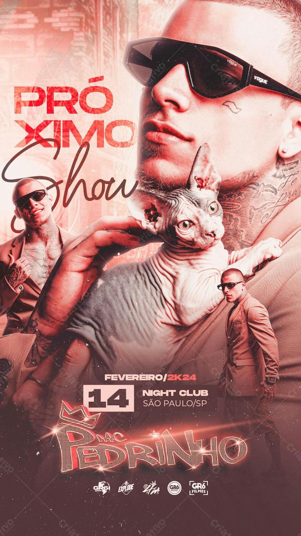 Flyer story mc pedrinho próximo show night club - [download] 33434 |  Criativo Dahora