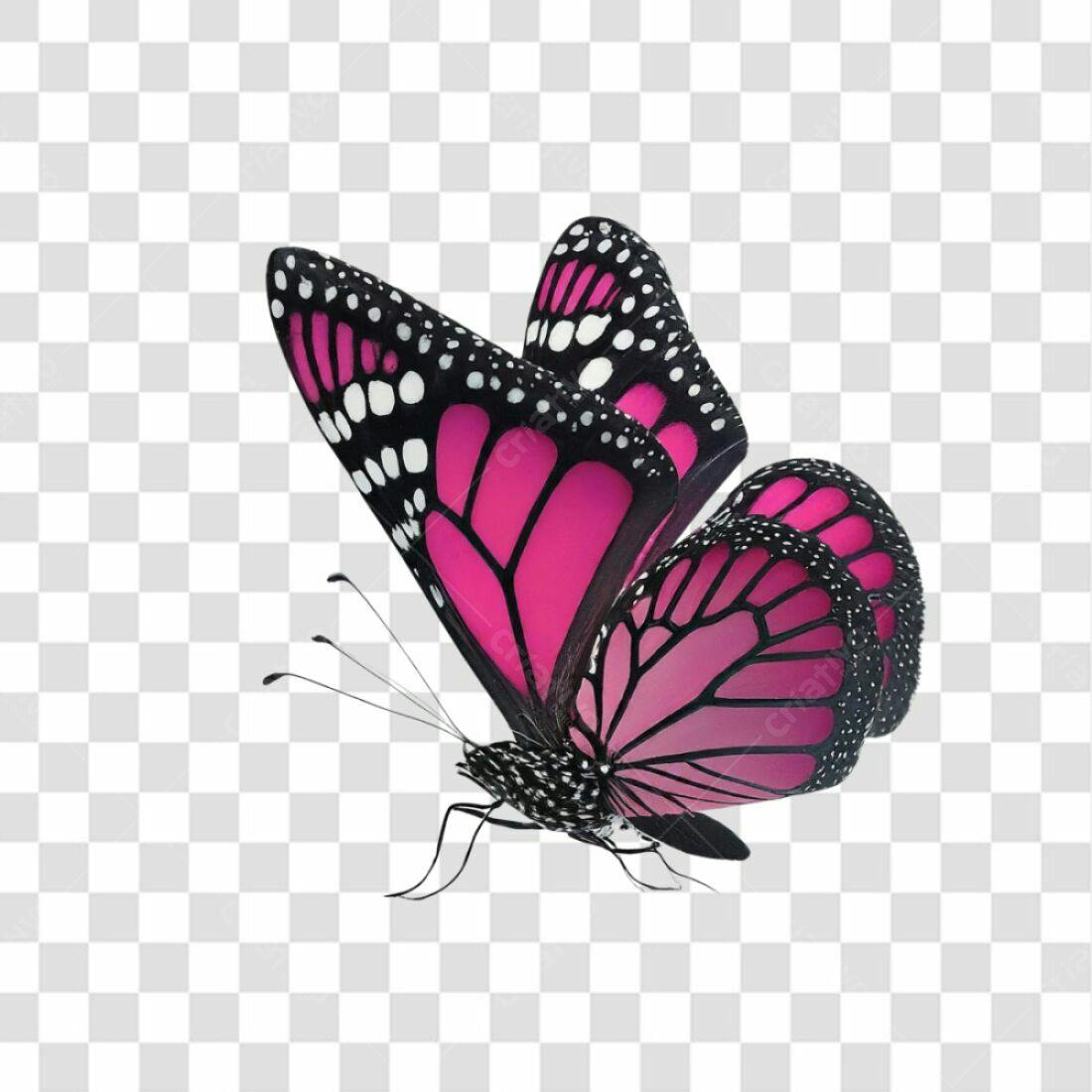 Icone Borboleta Rosa PNG com fundo transparente