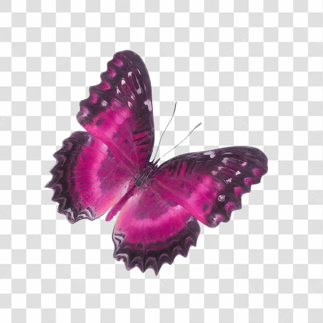 Icone Borboleta Rosa PNG com fundo transparente